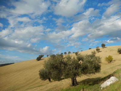 Rustici e Casali in vendita a Monteprandone