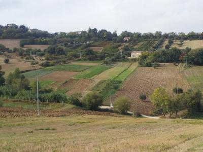 Rustici e Casali in vendita a Altidona