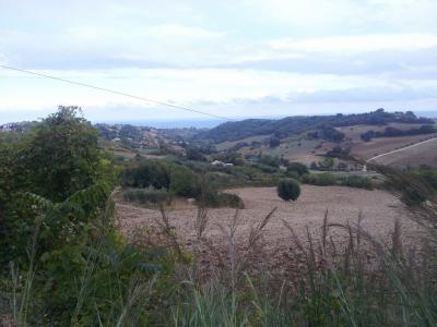 Rustici e Casali in vendita a Altidona