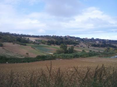 Rustici e Casali in vendita a Altidona