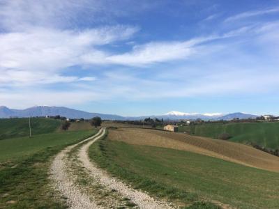 Rustici e Casali in vendita a Monteprandone