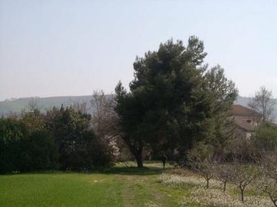 Ville di Prestigio in vendita a Cossignano