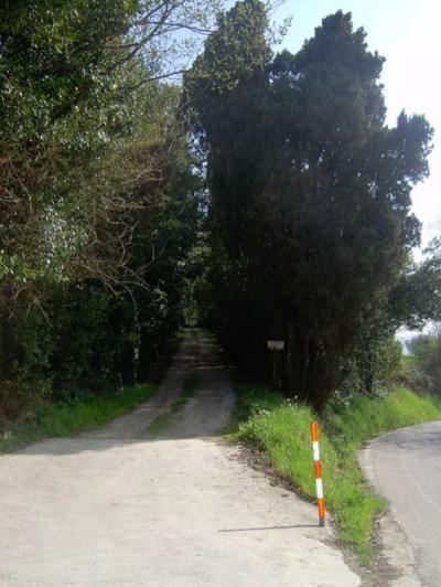 Ville di Prestigio in vendita a Cossignano