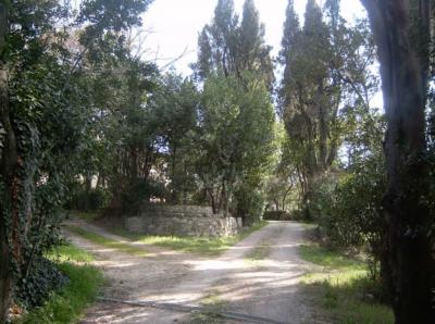 Ville di Prestigio in vendita a Cossignano