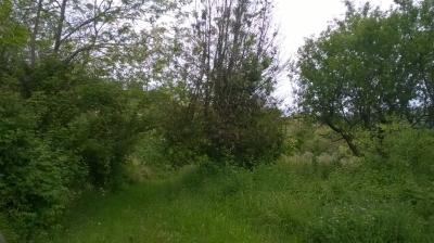 Terreno Agricolo in vendita a San Benedetto del Tronto