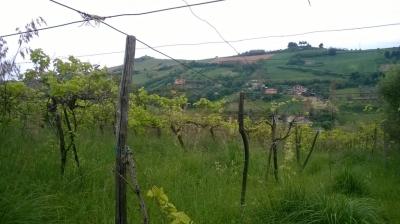 Terreno Agricolo in vendita a San Benedetto del Tronto