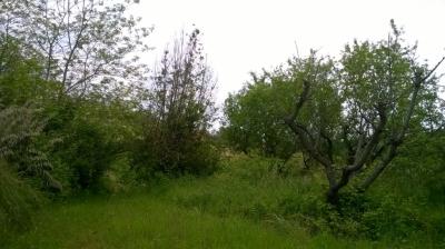 Terreno Agricolo in vendita a San Benedetto del Tronto