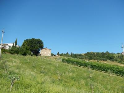 Rustici e Casali in vendita a Offida
