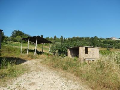 Rustici e Casali in vendita a Offida