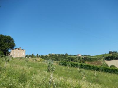 Rustici e Casali in vendita a Offida