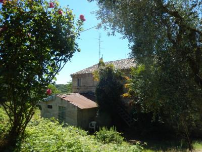 Rustici e Casali in vendita a Altidona