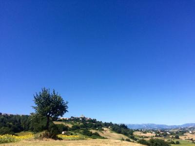 Rustici e Casali in vendita a Montelparo