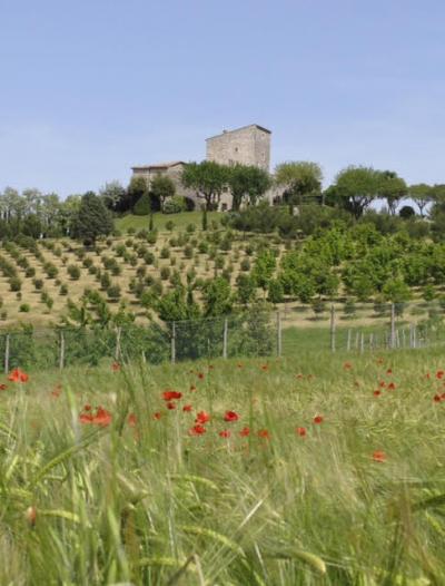 Ville di Prestigio in vendita a Todi