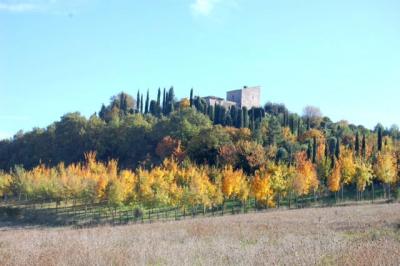 Ville di Prestigio in vendita a Todi