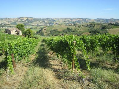 Rustici e Casali in vendita a Offida