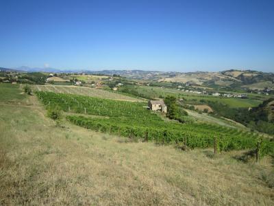 Rustici e Casali in vendita a Offida