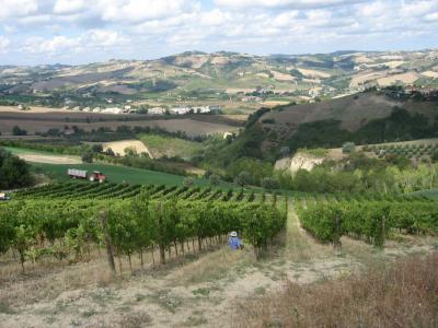 Rustici e Casali in vendita a Offida