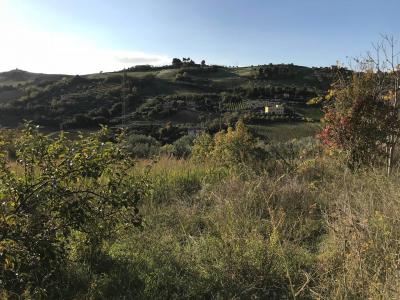Terreno Agricolo in vendita a San Benedetto del Tronto