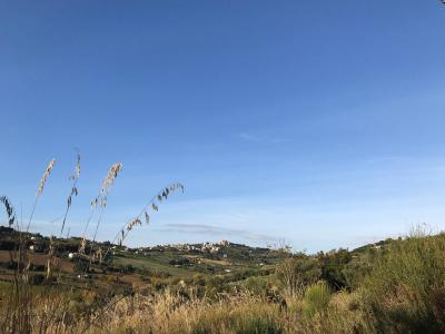 Terreno Agricolo in vendita a San Benedetto del Tronto