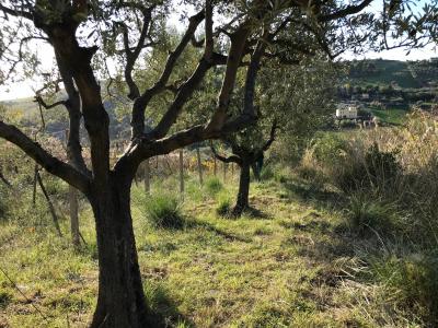Terreno Agricolo in vendita a San Benedetto del Tronto