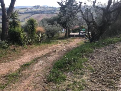 Rustici e Casali in vendita a Monteprandone