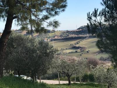 Rustici e Casali in vendita a Monteprandone
