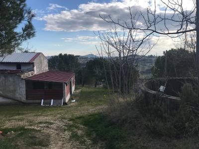 Rustici e Casali in vendita a Monteprandone