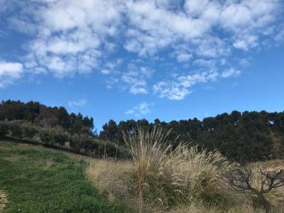 Rustici e Casali in vendita a Monteprandone