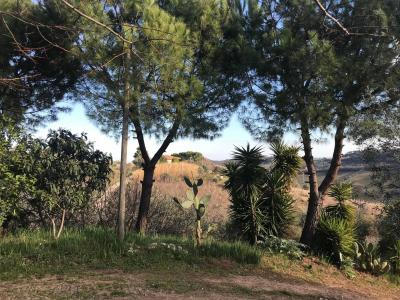 Rustici e Casali in vendita a Monteprandone