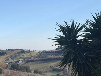 Rustici e Casali in vendita a Monteprandone