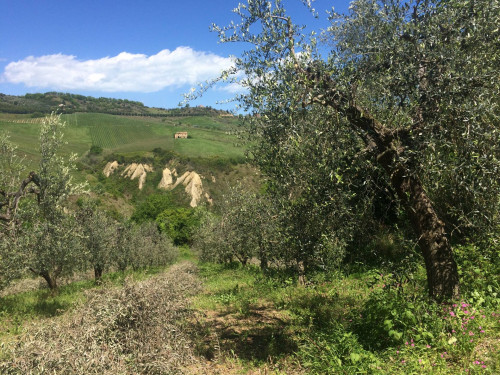 Rustici e Casali in vendita a Monteprandone