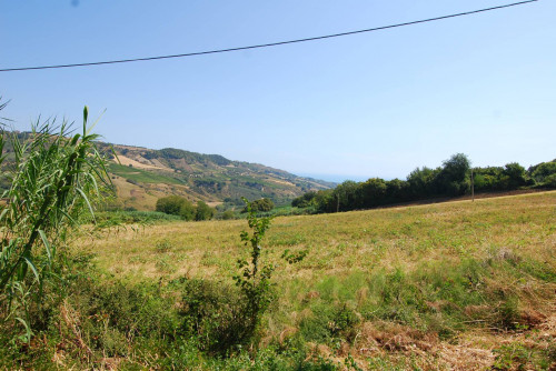 Rustici e Casali in vendita a Monteprandone