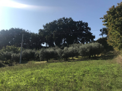 Rustici e Casali in vendita a Monteprandone