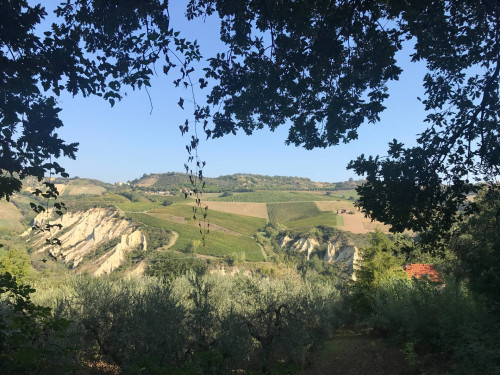 Rustici e Casali in vendita a Monteprandone