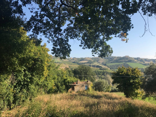 Rustici e Casali in vendita a Monteprandone