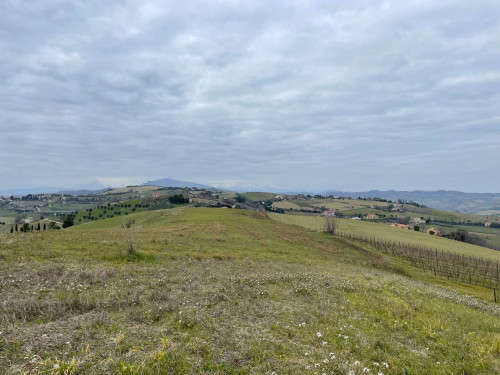Rustici e Casali in vendita a Offida