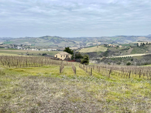 Rustici e Casali in vendita a Offida