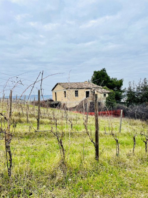 Rustici e Casali in vendita a Offida