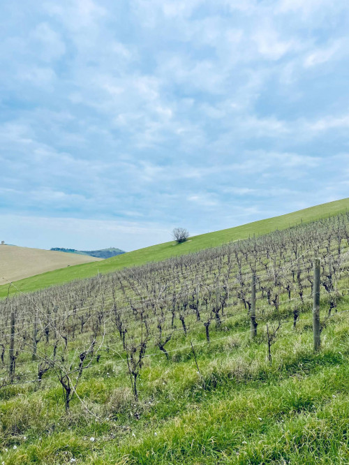 Rustici e Casali in vendita a Offida