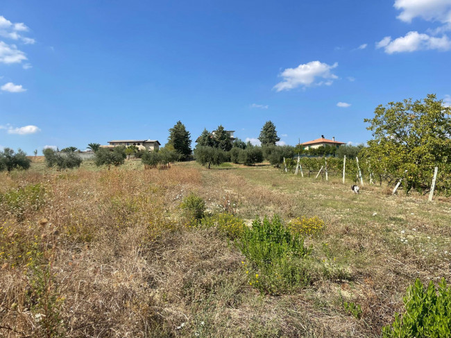 Rustici e Casali in vendita a Offida