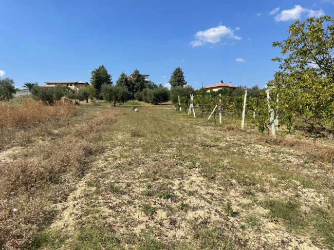 Rustici e Casali in vendita a Offida