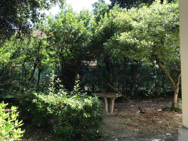 Ville di Prestigio in vendita a Pietrasanta