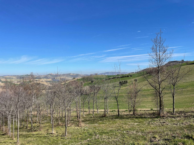 Rustici e Casali in vendita a Castignano