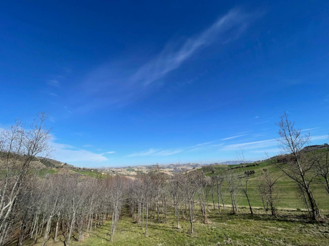 Rustici e Casali in vendita a Castignano