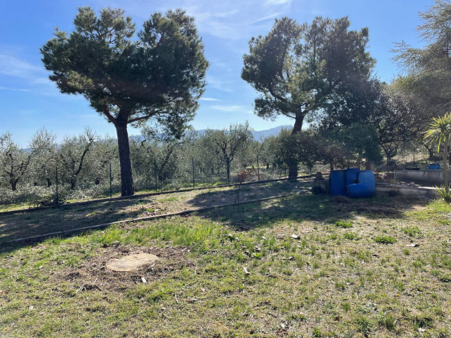 Ville di Prestigio in vendita a Monteprandone