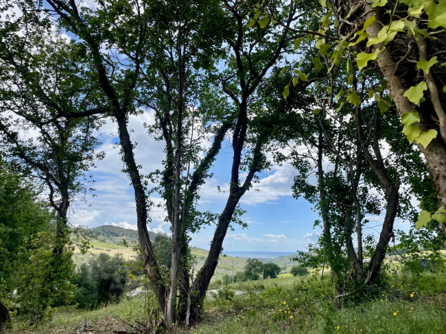 Rustici e Casali in vendita a Monteprandone