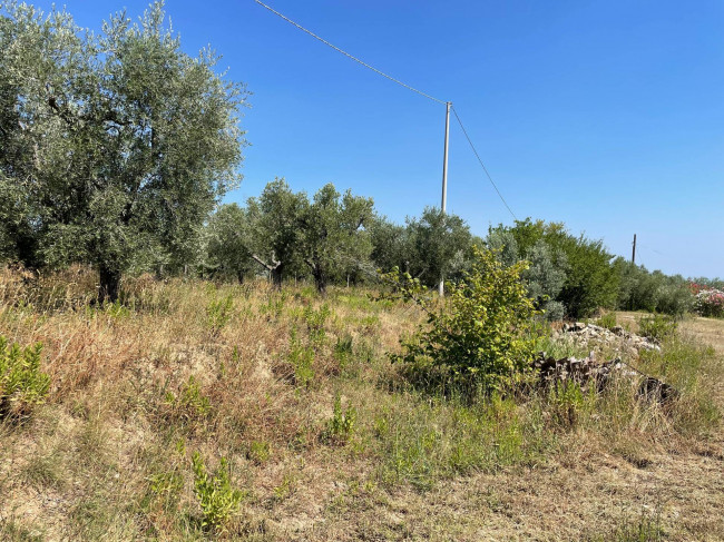 Rustici e Casali in vendita a Ripatransone