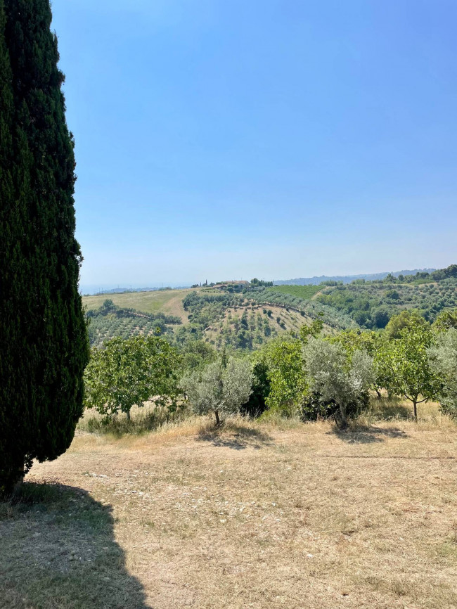 Rustici e Casali in vendita a Ripatransone