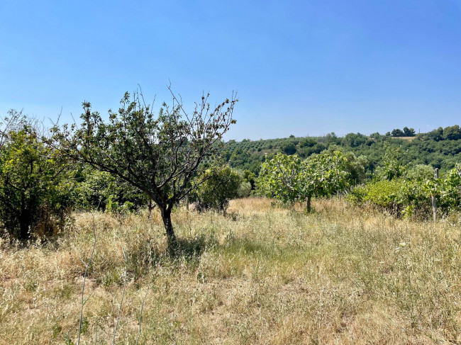 Rustici e Casali in vendita a Ripatransone
