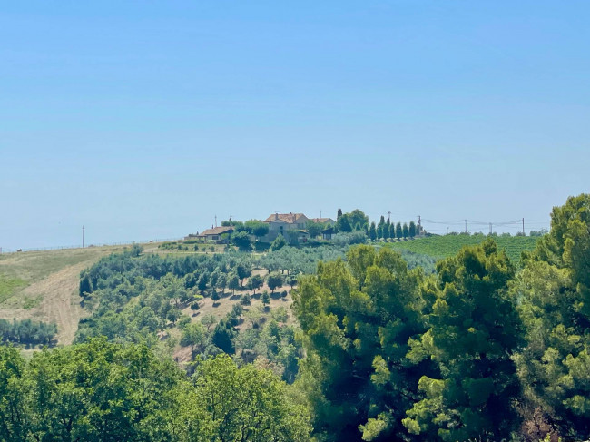 Rustici e Casali in vendita a Ripatransone